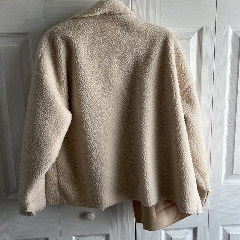 Teddy Shacket - Picture 2 of 2